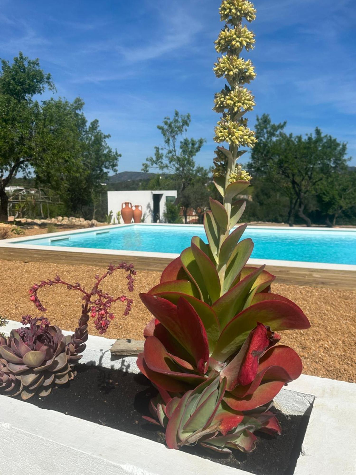 La Quinta Da Liberdade - Ferme De Charme En Algarve Villa Pechao Luaran gambar