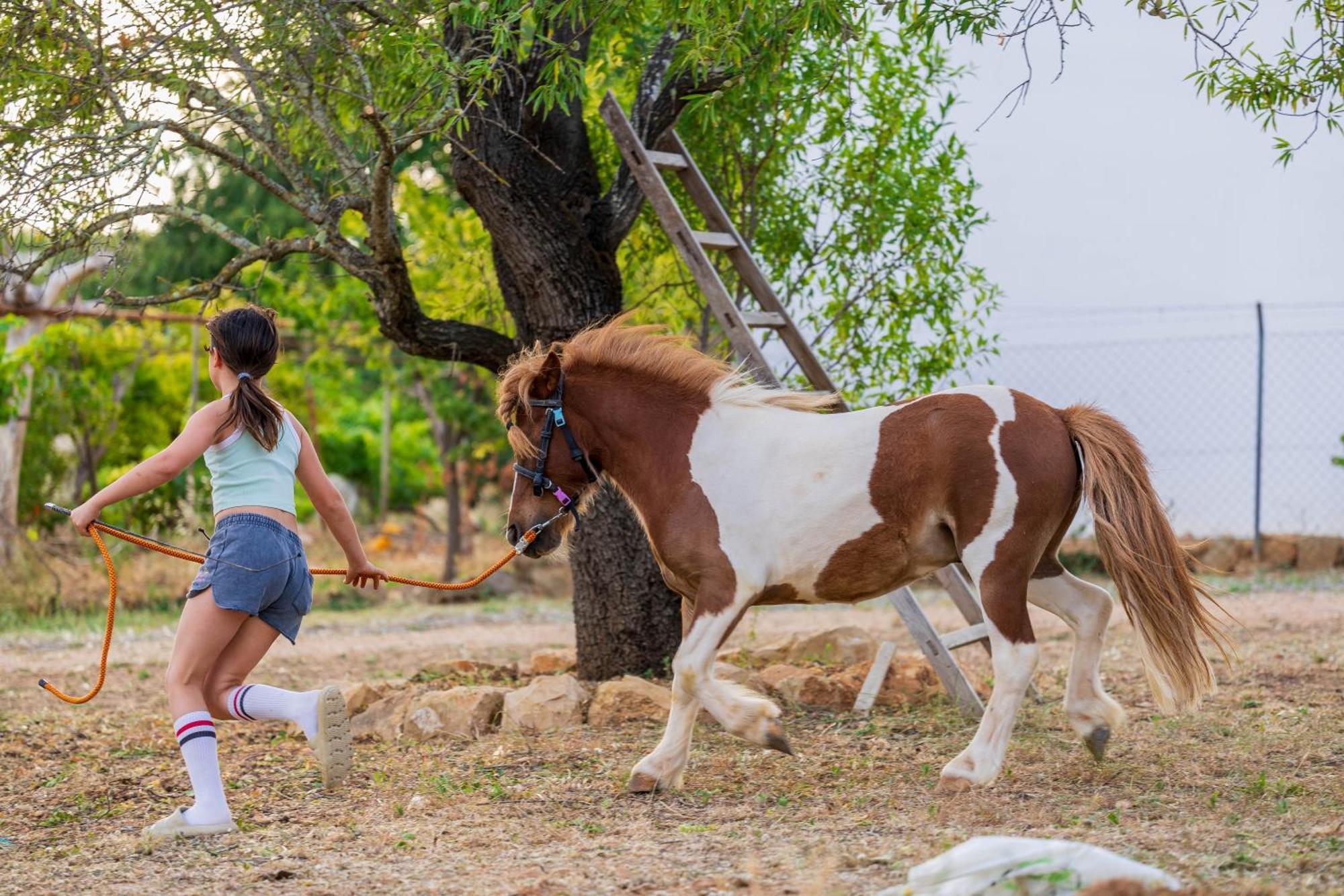 La Quinta Da Liberdade - Ferme De Charme En Algarve Villa Pechao Luaran gambar